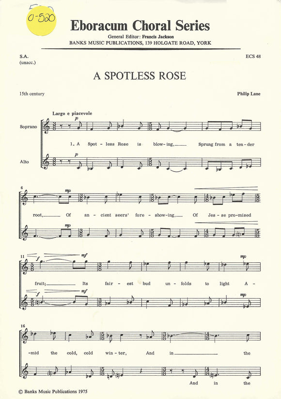 Spotless Rose, A (0-520)